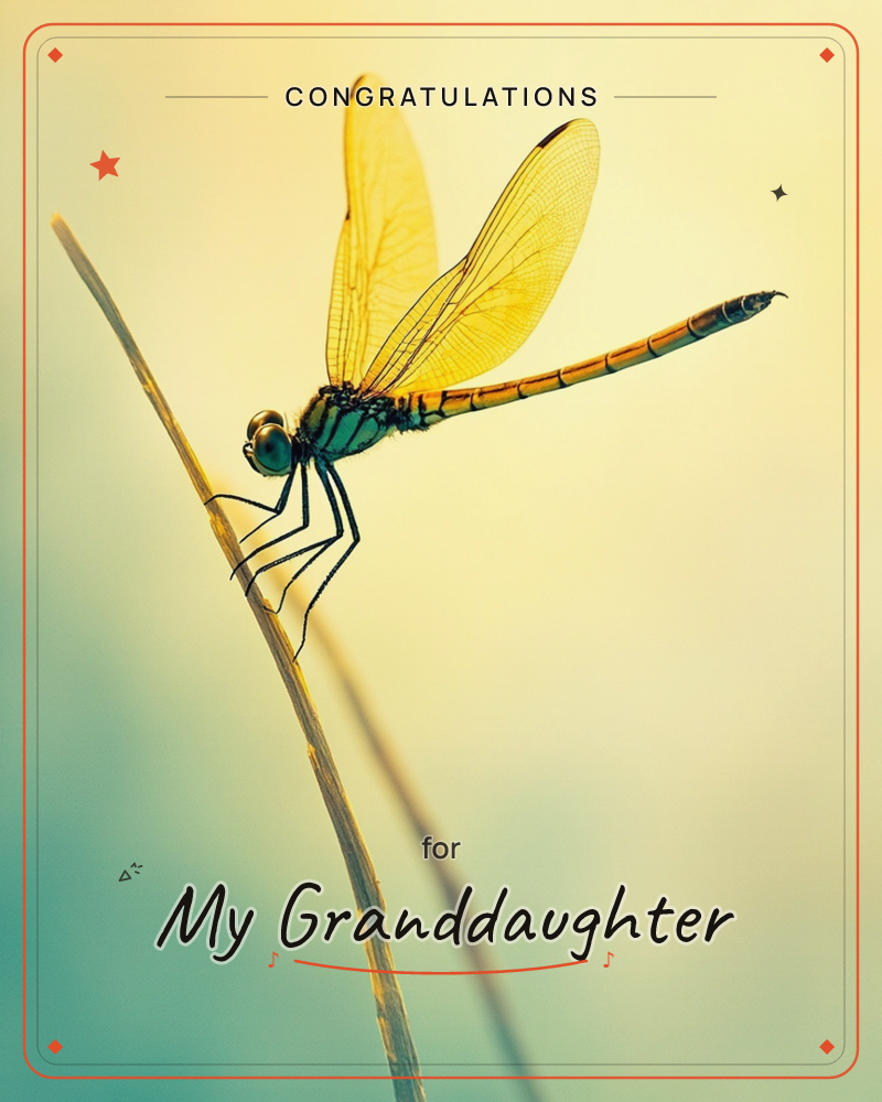 A close-up photograph of a dragonfly perched on a slender dry stem, its glassy wings catching a warm golden light, a graduation e-card design