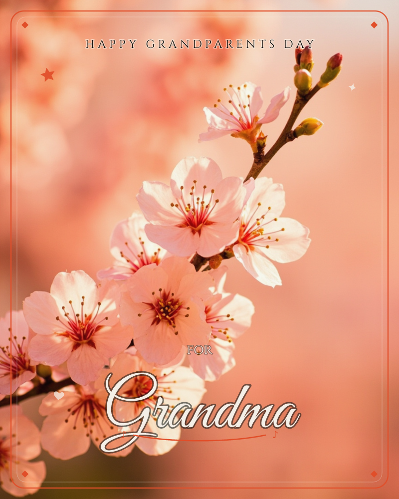 A cherry blossom branch stretches across the frame in close-up, its pale pink petals and delicate red stamens caught in warm golden light, a grandparents day e-card design