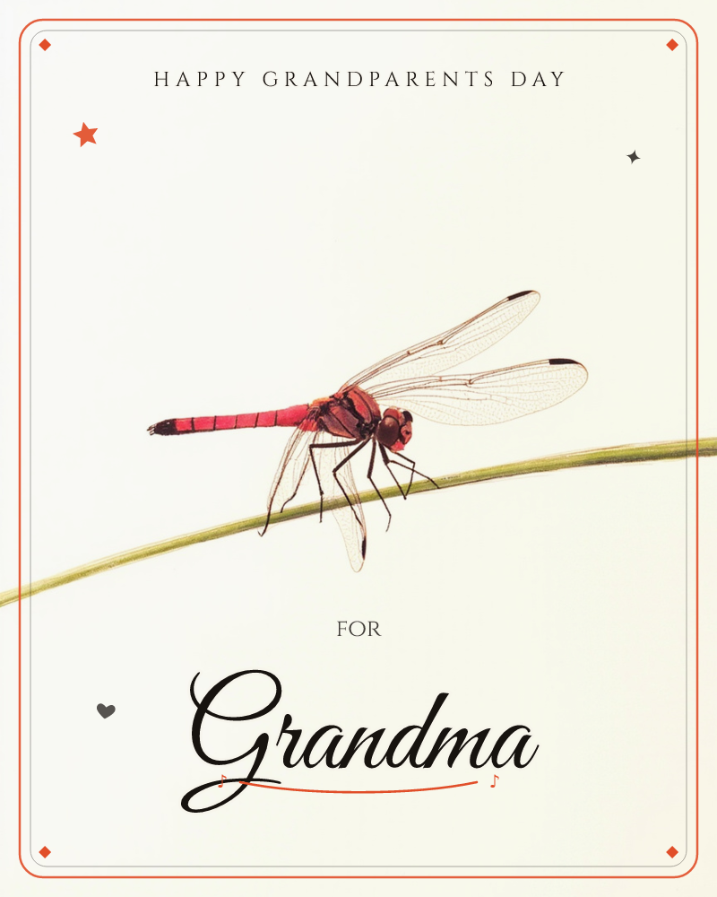 A single red dragonfly perches sideways on a curved green blade of grass, its four delicate, veined wings spread against a plain cream background, a grandparents day e-card design