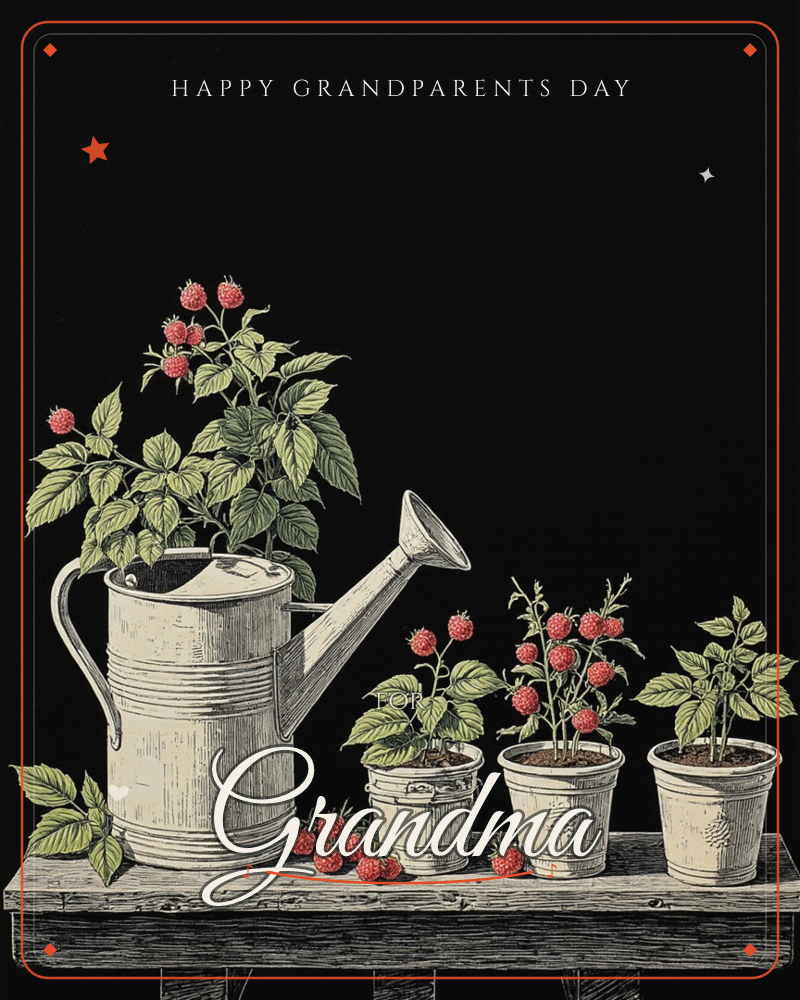 An old metal watering can and a row of small terracotta-style pots line a wooden potting bench, each overflowing with leafy raspberry vines dotted with…, a grandparents day e-card design