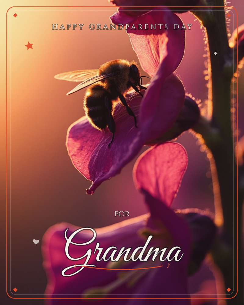 A close-up of a fuzzy bumblebee perched on the lip of a magenta foxglove bloom, backlit by warm golden light that turns the petals translucent, a grandparents day e-card design