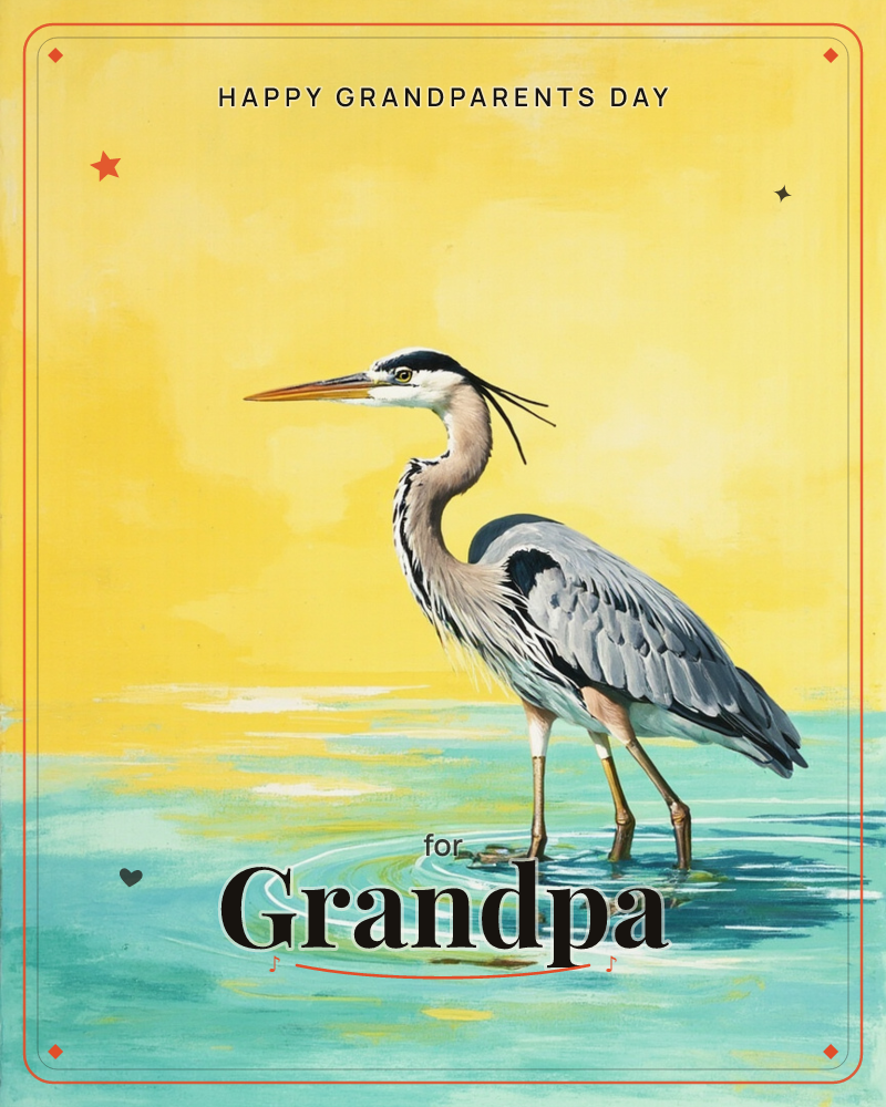A great blue heron stands motionless in shallow water, its long neck curved and beak pointed sharply to one side, a grandparents day e-card design