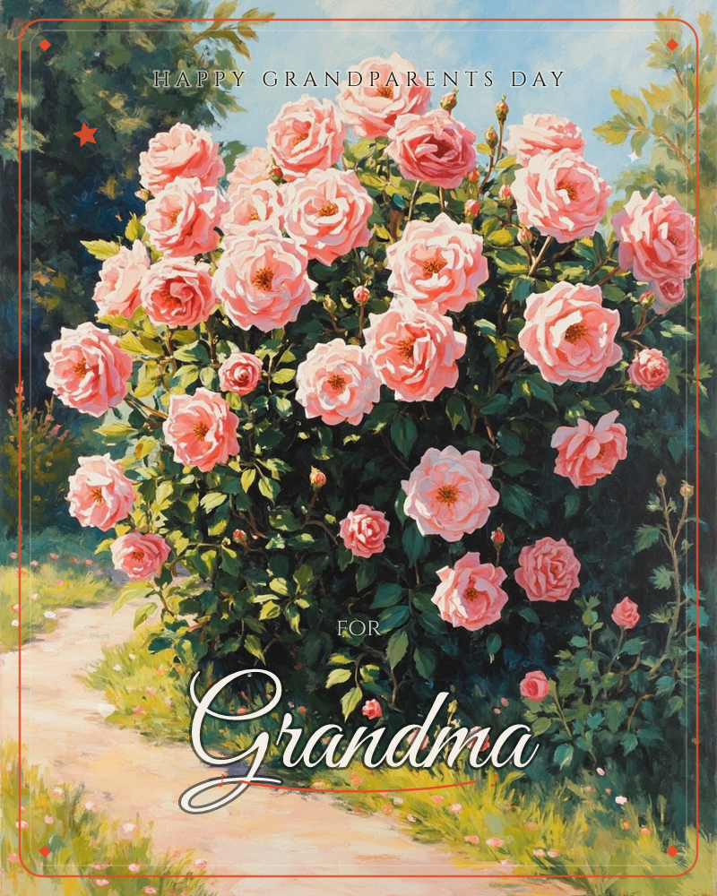 A lush rose bush bursts with pink blooms beside a sunlit garden path, its dark green leaves catching dappled light under a soft blue sky, a grandparents day e-card design