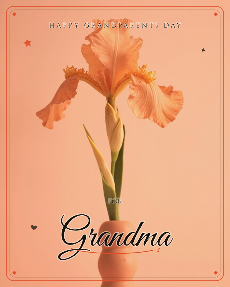 A single ruffled iris in soft peach tones stands in a small terracotta vase, photographed against a matching peach backdrop so the flower seems to glow, a grandparents day e-card design