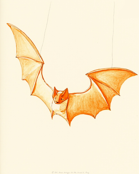 Halloween e-card design