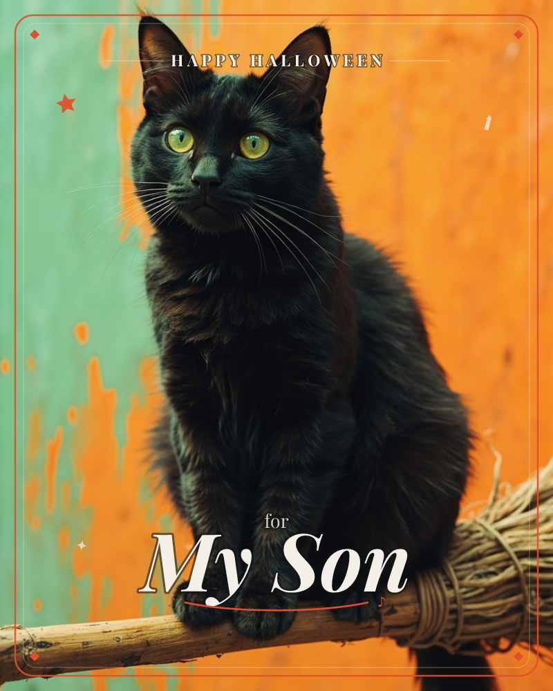 A black cat with piercing green eyes sits perched on a straw broom, its sleek fur catching light against a weathered wall streaked in peeling orange…, a halloween e-card design