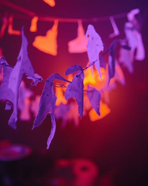 Halloween e-card design