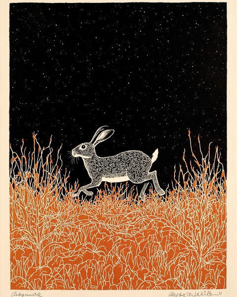 Halloween e-card design