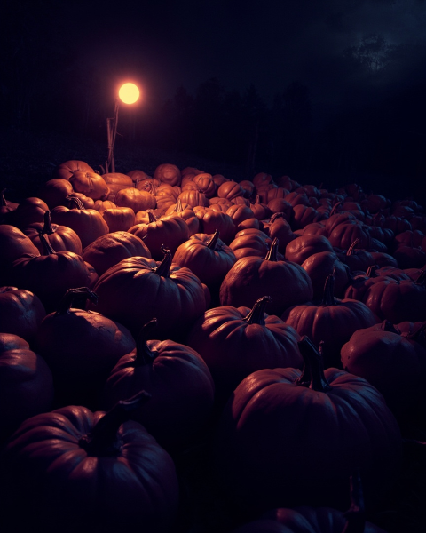 Halloween e-card design