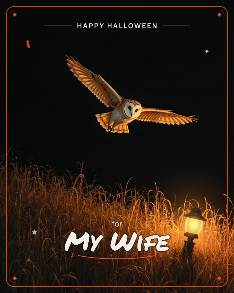 A barn owl glides silently through pitch-black night air, wings spread wide, its heart-shaped face lit from below by a lone lantern standing in a field…, a halloween e-card design