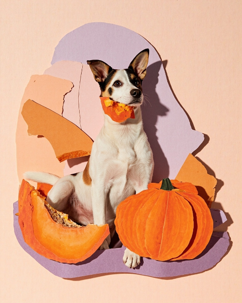 Halloween e-card design