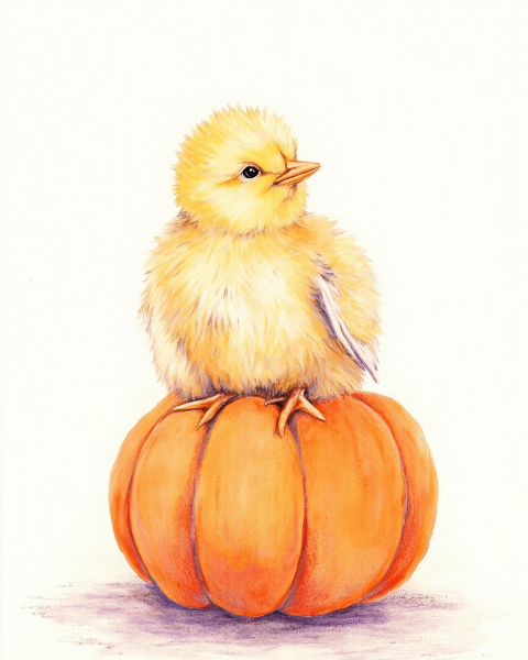 Halloween e-card design