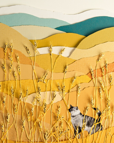 Just because e-card design