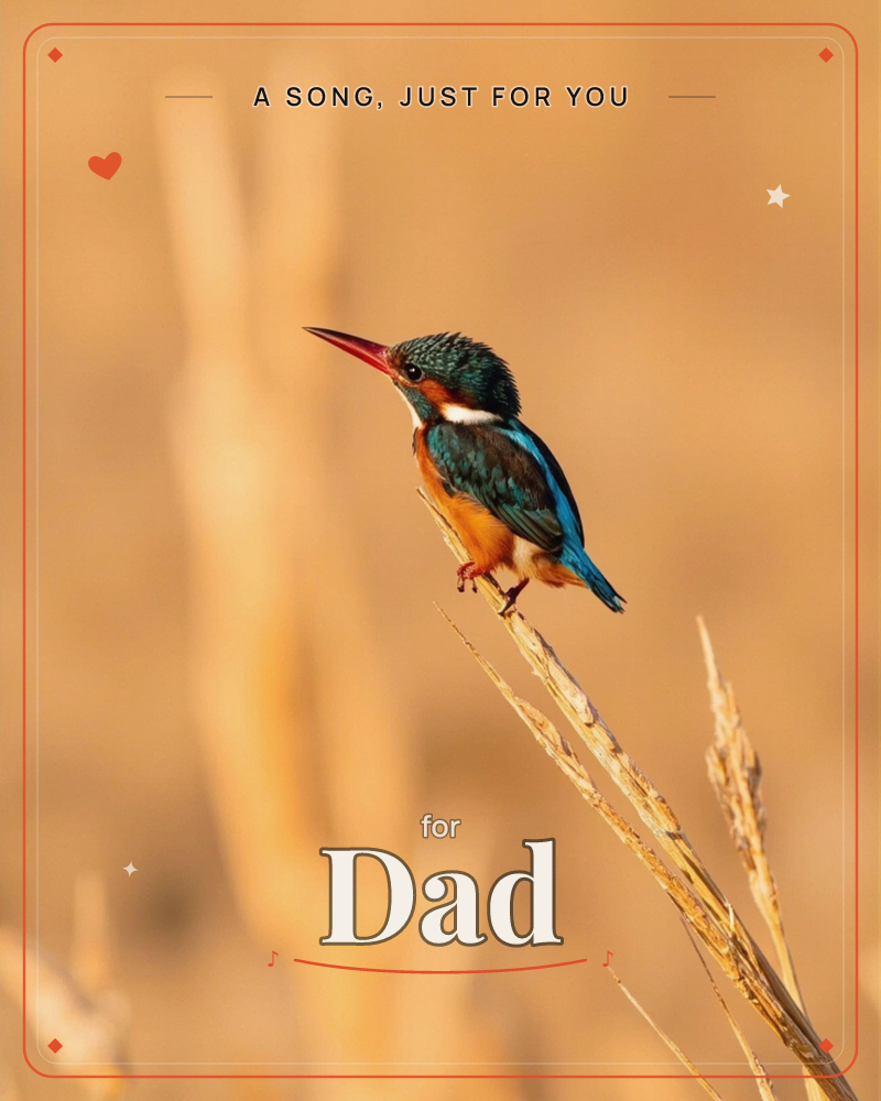 A small kingfisher perches on the tip of a dry, golden reed, its turquoise back and rust-orange breast glowing against a soft, blurred background of…, a just because e-card design