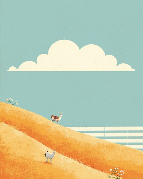 Just because e-card design