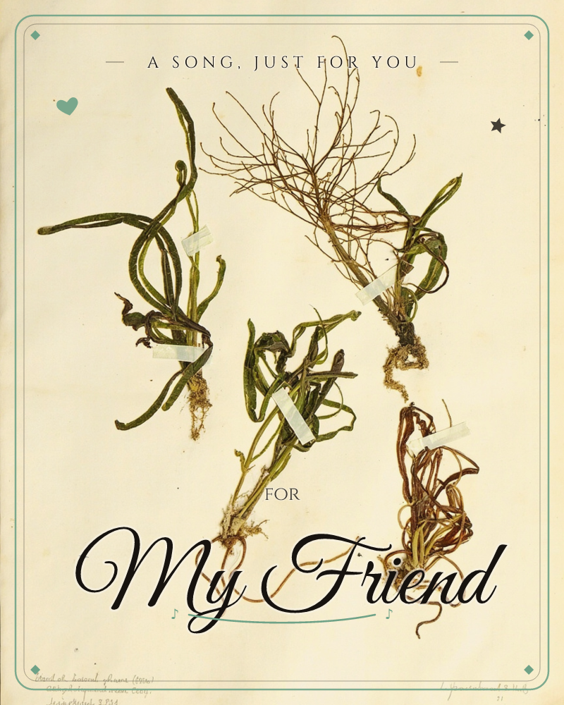 A vintage botanical study shows four dried plant specimens taped down against a pale, aged background, their long slender roots and wiry stems curling…, a just because e-card design