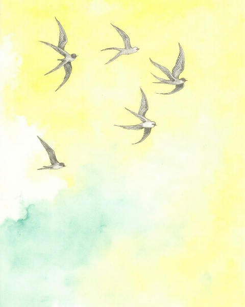 Just because e-card design
