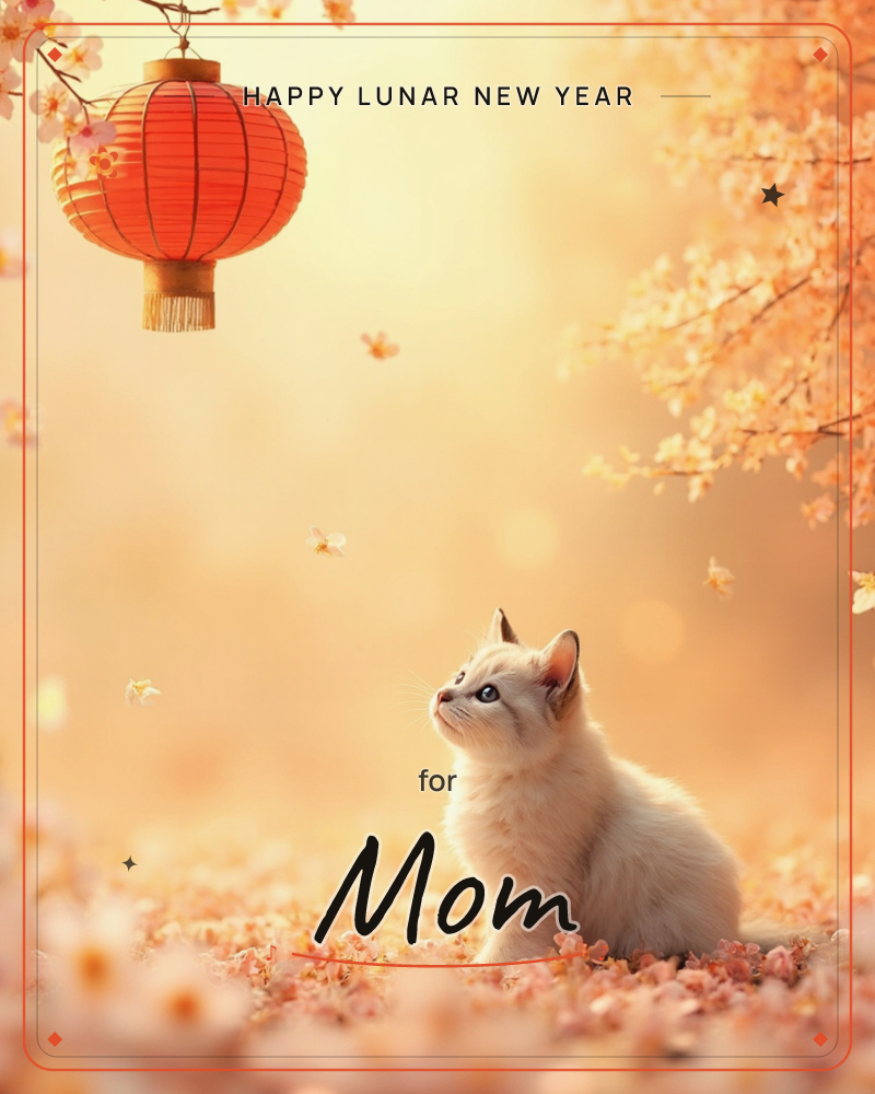 A pale kitten sits among drifting cherry blossom petals, gazing up at a red paper lantern hanging from a branch overhead, a lunar new year e-card design