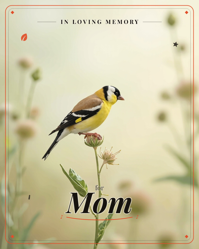 A goldfinch with a black and white head and warm yellow breast perches on a seed head, its sharp orange beak turned toward the light, a memory e-card design