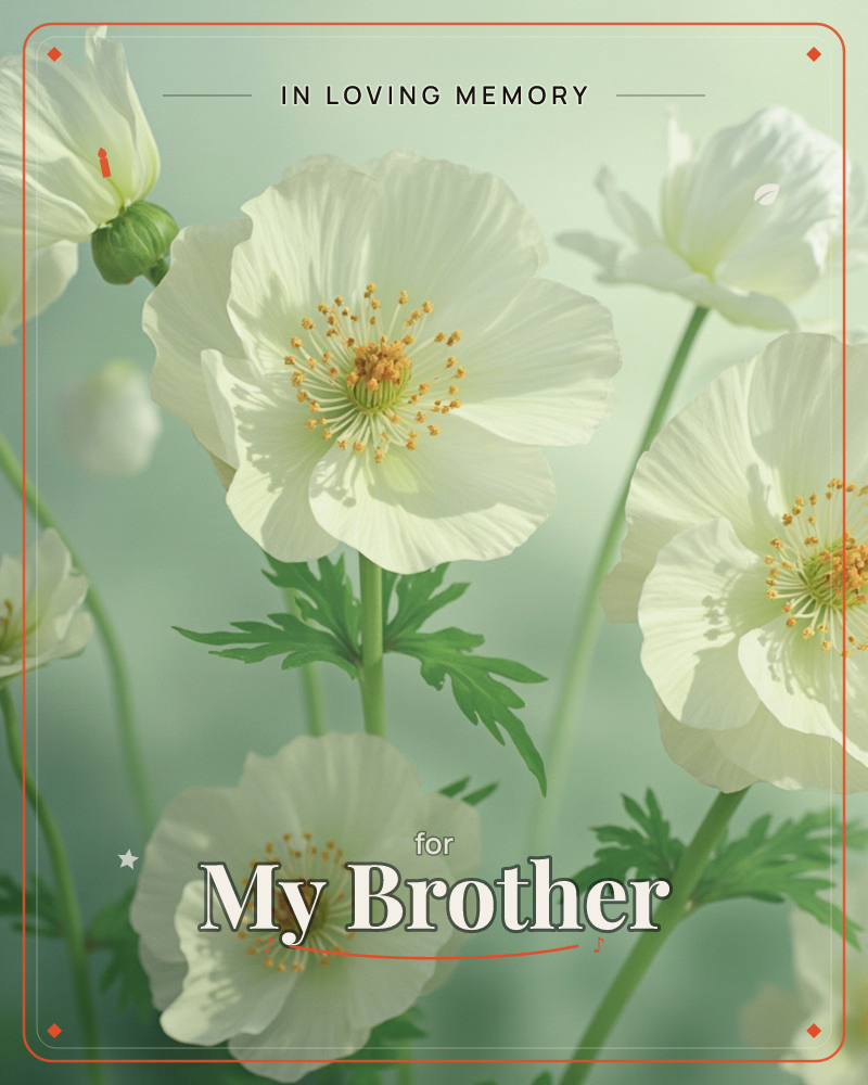 White poppies open wide on slender green stems, their crumpled petals catching a soft, misty light against a pale sage background, a memory e-card design