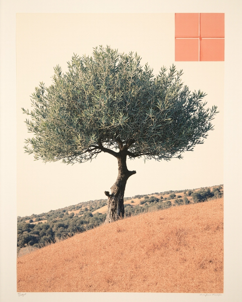 Memory e-card design