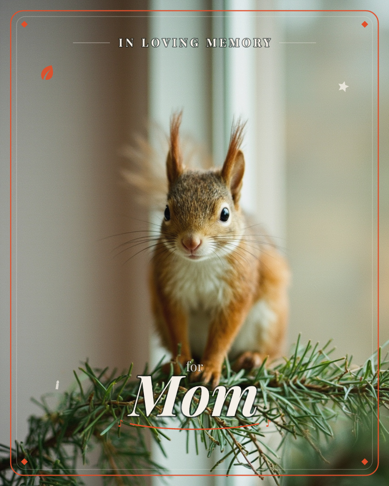 A red squirrel with tufted ears and bright dark eyes perches on a soft pine branch by a windowsill, looking straight at the camera with alert curiosity, a memory e-card design