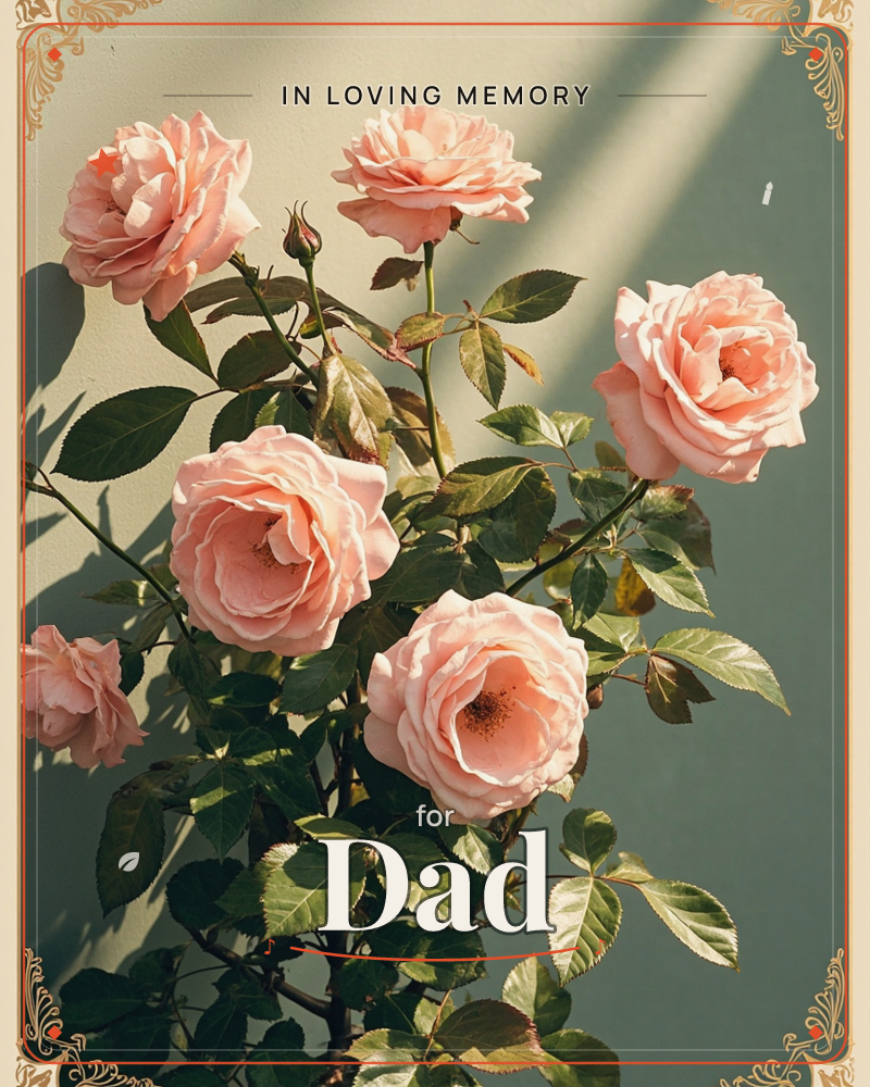 A cluster of full-blown pink roses leans against a sage-green wall, caught in a diagonal beam of afternoon sun, a memory e-card design