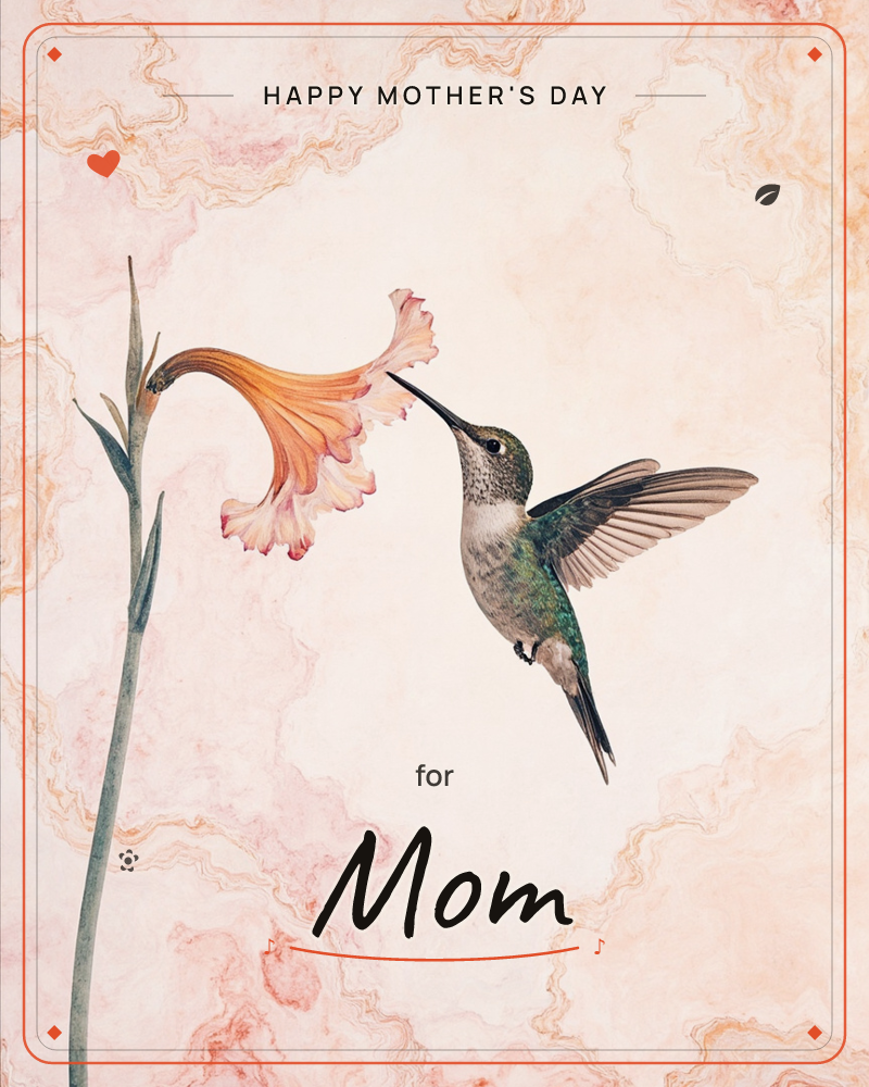 A hummingbird hovers with wings spread wide, dipping its long beak into a trumpet-shaped orange flower on a slender green stem, a mothersday e-card design