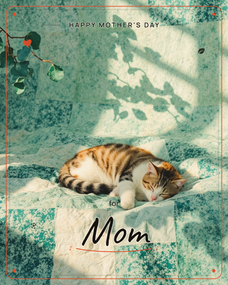 A calico cat curls into a tight sleeping ball on a teal and cream checkered quilt, its tabby-striped tail wrapped neatly around itself, a mothersday e-card design