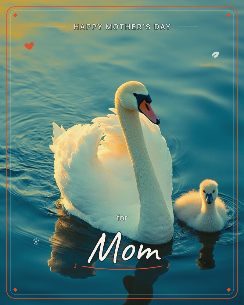 A white swan glides across still blue water at golden hour, its curved neck catching warm sunlight, with a small fluffy cygnet paddling close behind, a mothersday e-card design