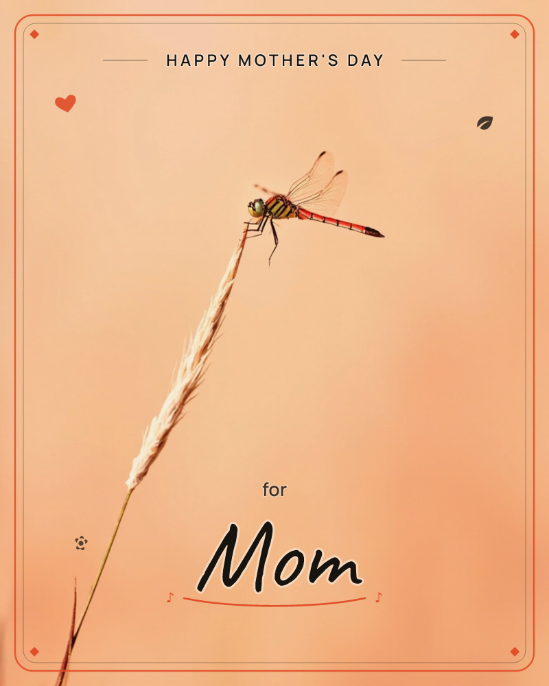 A red-bodied dragonfly perches at the very tip of a fuzzy seed-topped grass stem, its glassy wings catching the light against a smooth peach-toned…, a mothersday e-card design