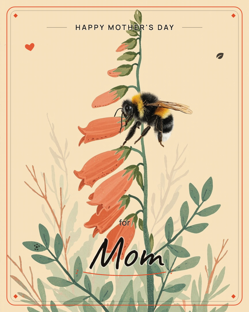 A single foxglove spire rises against a soft cream background, its coral bell-shaped blooms cascading down the stem while a large striped bumblebee…, a mothersday e-card design