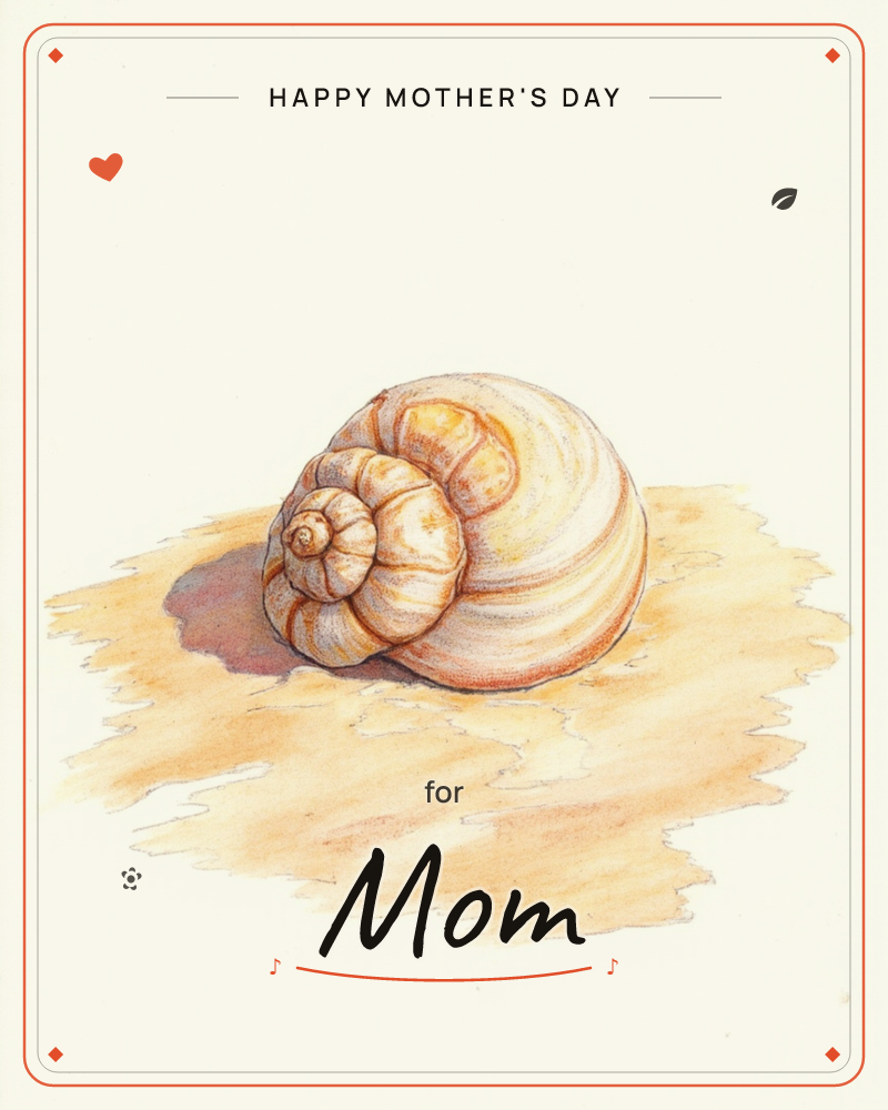 A single spiral seashell rests on a patch of sandy ground against a plain cream background, a mothersday e-card design