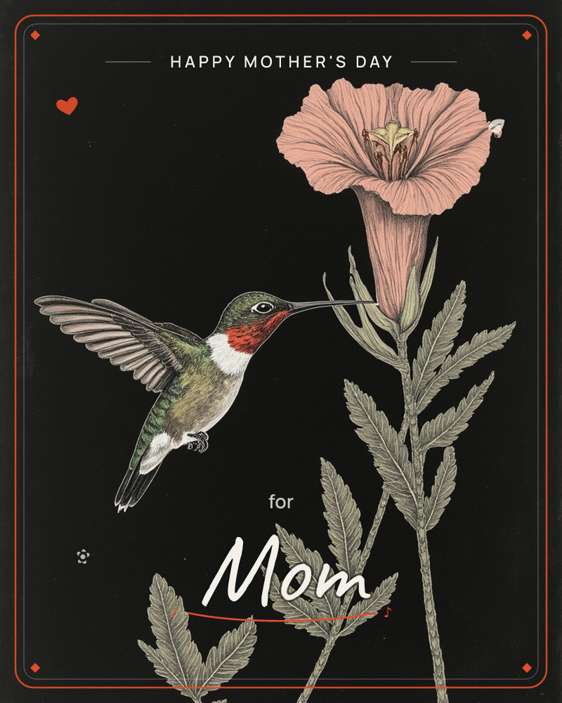 A ruby-throated hummingbird hovers mid-flight beside a large trumpet-shaped pink flower, its wings caught in a delicate blur against a deep black…, a mothersday e-card design