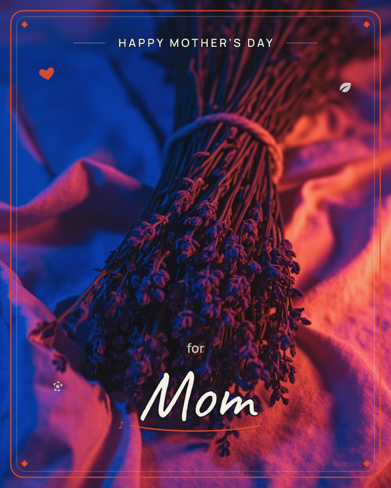 A dried lavender bunch, bound with twine, hangs stem-up against draped fabric lit in dramatic blue and coral, a mothersday e-card design
