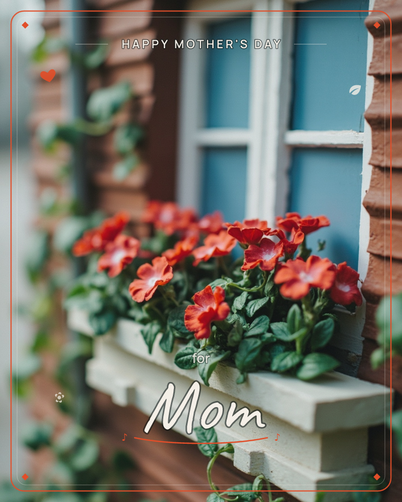A wooden window box overflows with red geraniums against a pale blue-painted window and weathered red timber siding, a mothersday e-card design