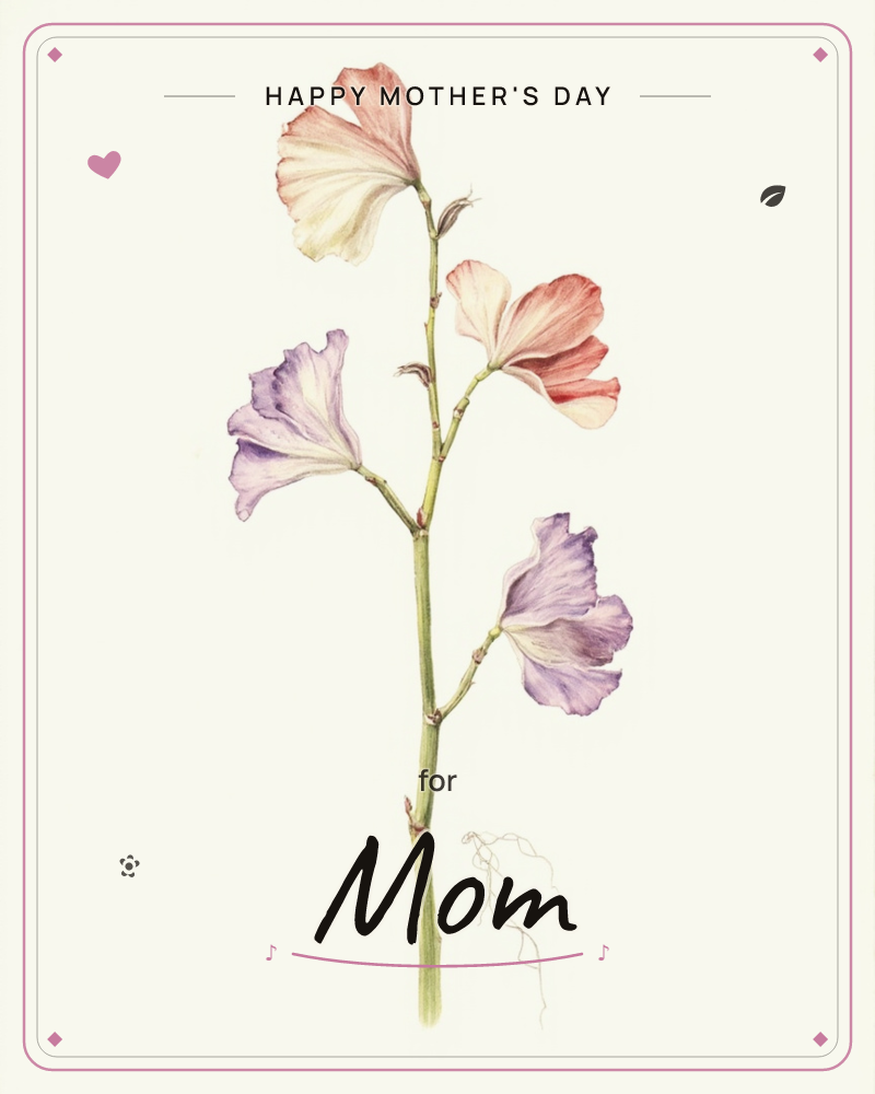 A single stem of sweet pea flowers stands upright against a softly vignetted white background that fades to shadow at the edges, a mothersday e-card design