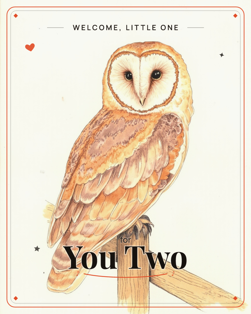 A barn owl perches on a wooden fence post, its heart-shaped white face turned to gaze directly out at the viewer, a new baby e-card design