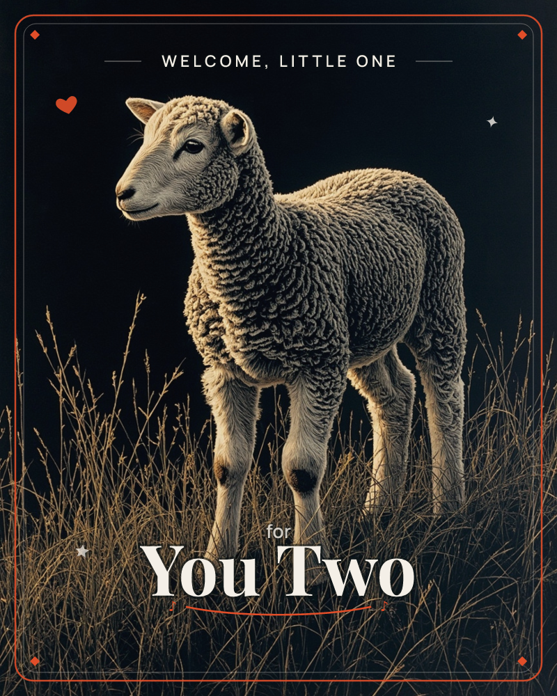 A young sheep stands alert amid tall dry grasses, its curly wool catching a warm golden light against a deep black background, a new baby e-card design
