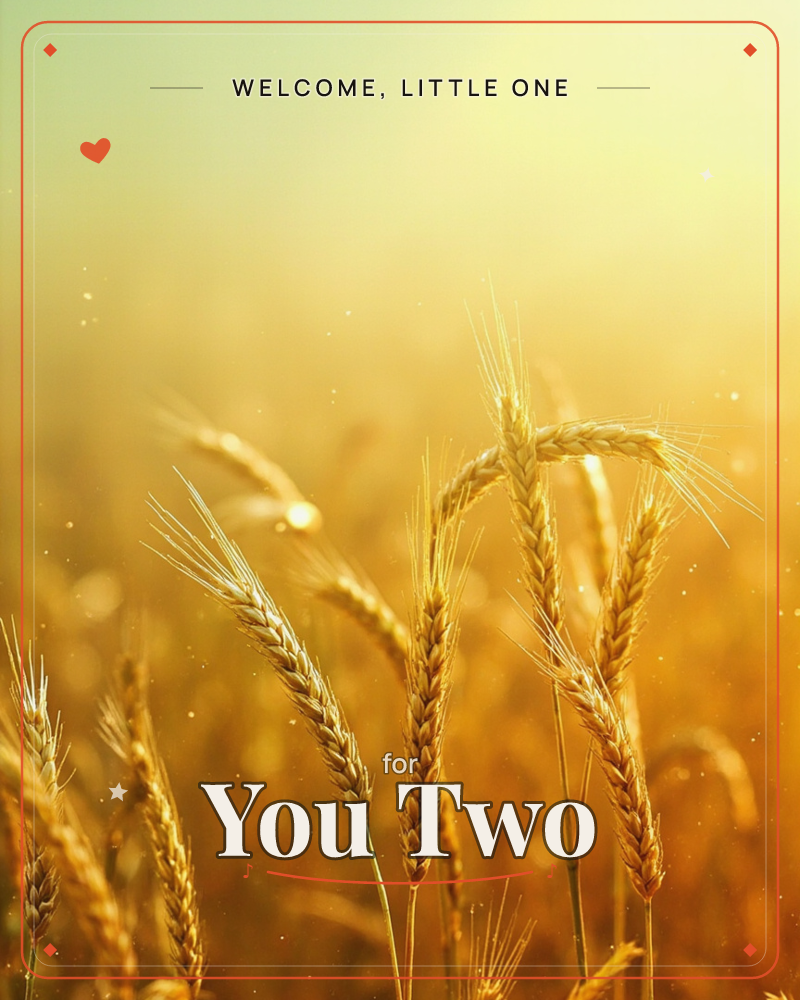 A close-up photograph of golden wheat stalks standing tall against a hazy, sun-drenched field, a new baby e-card design