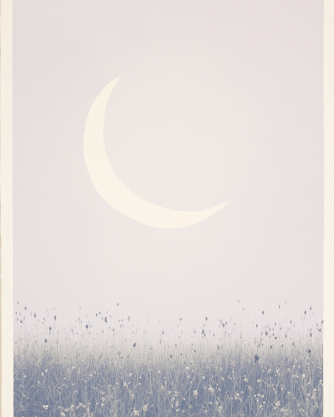 New baby e-card design