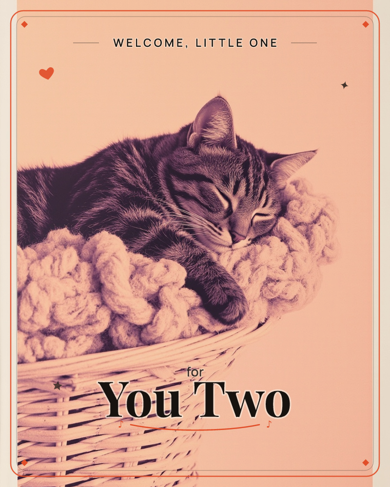 A tabby cat curls up asleep in a woven wicker basket lined with a thick, chunky-knit blanket, a new baby e-card design
