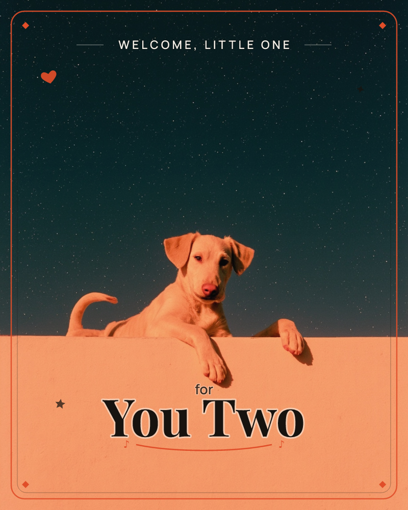 A pale golden puppy peers over the top of a peach-coloured wall, paws draped casually over the edge, set against a deep starlit night sky, a new baby e-card design