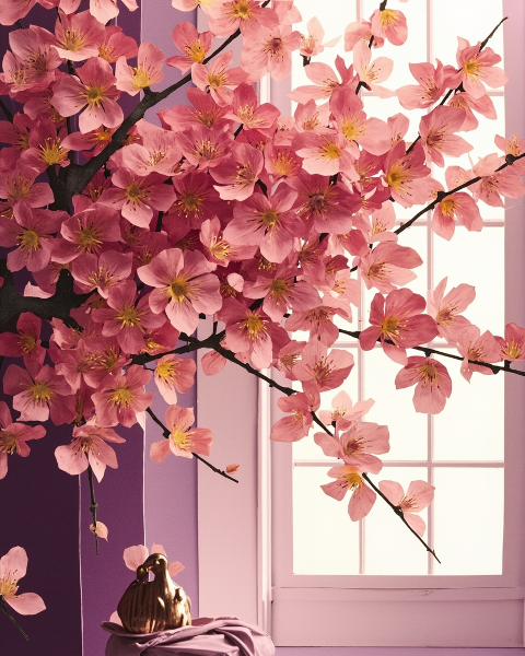 New home e-card design