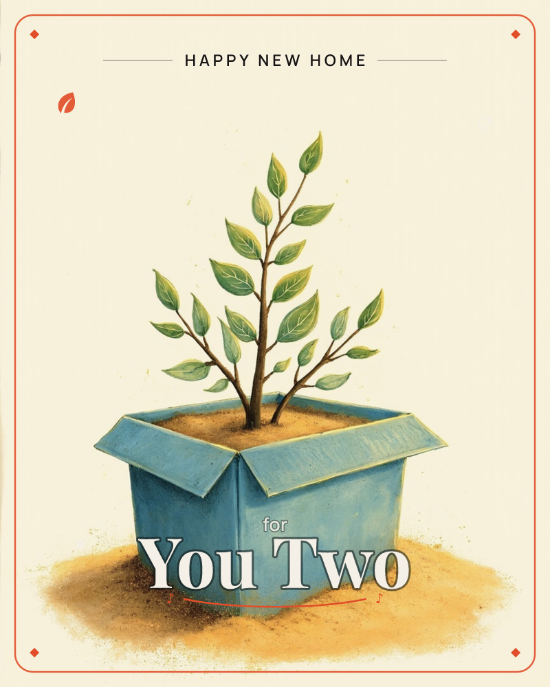 An open blue cardboard box sits on a plain floor with its flaps folded back, filled with rich brown soil from which a slender branching sapling grows…, a new home e-card design