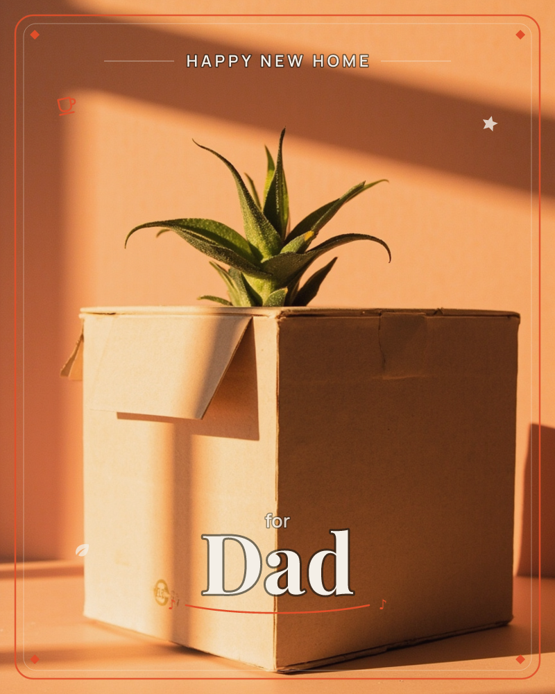 A photograph of a plain cardboard box catching late golden sunlight against a warm terracotta wall, its flap left open with a spiky green succulent…, a new home e-card design