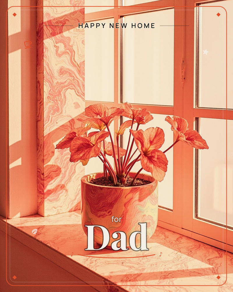 A potted plant with broad, veined leaves sits on a windowsill, bathed entirely in a warm coral-orange glow, a new home e-card design