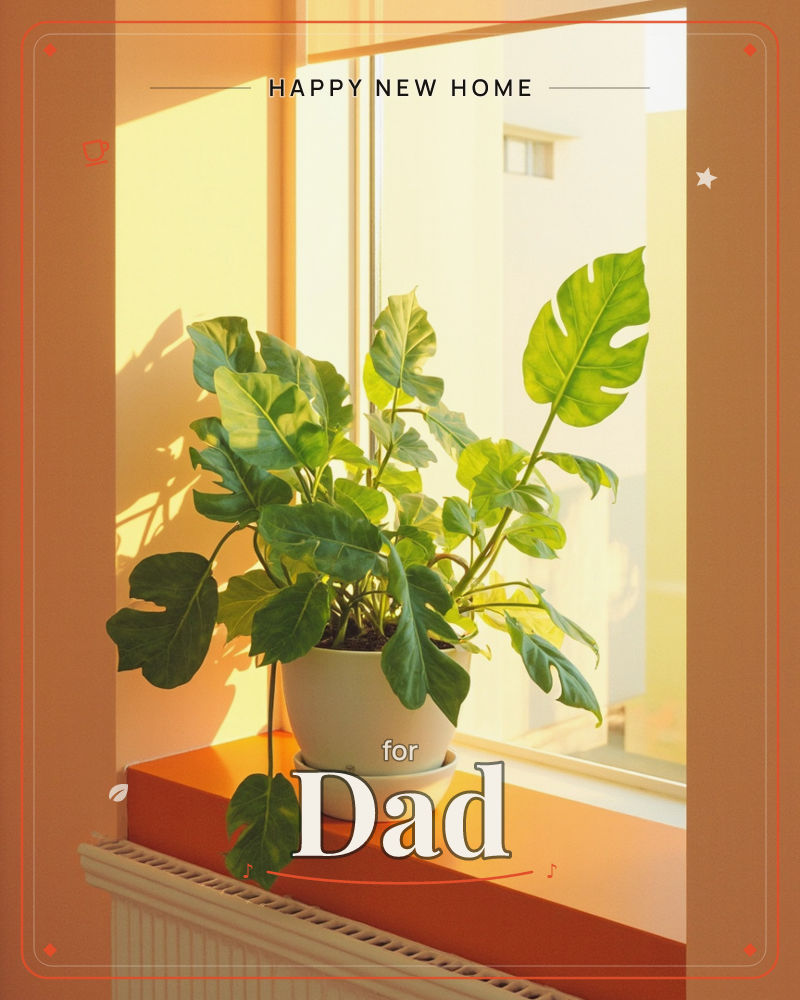A potted fiddle-leaf fig and monstera sit together on a wooden windowsill, backlit by warm late-afternoon sun streaming through a bare window, a new home e-card design