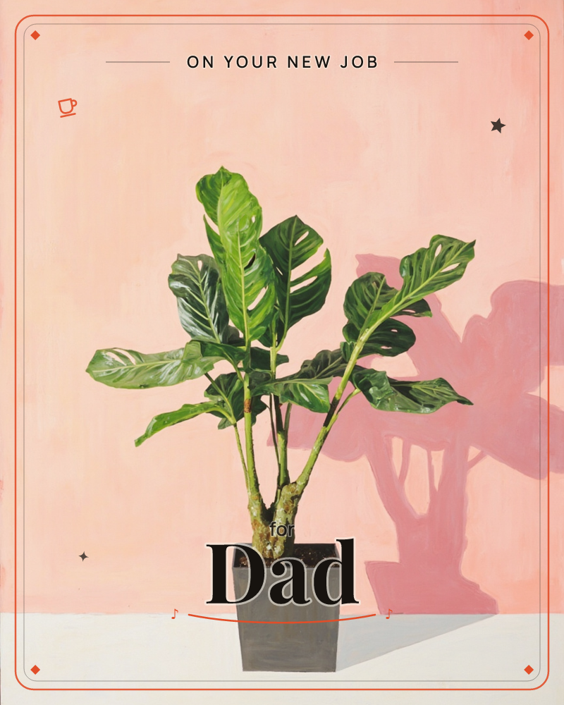 A potted split-leaf philodendron stands against a warm blush-pink wall, its glossy green leaves catching a strong side light that throws a dramatic…, a new job e-card design
