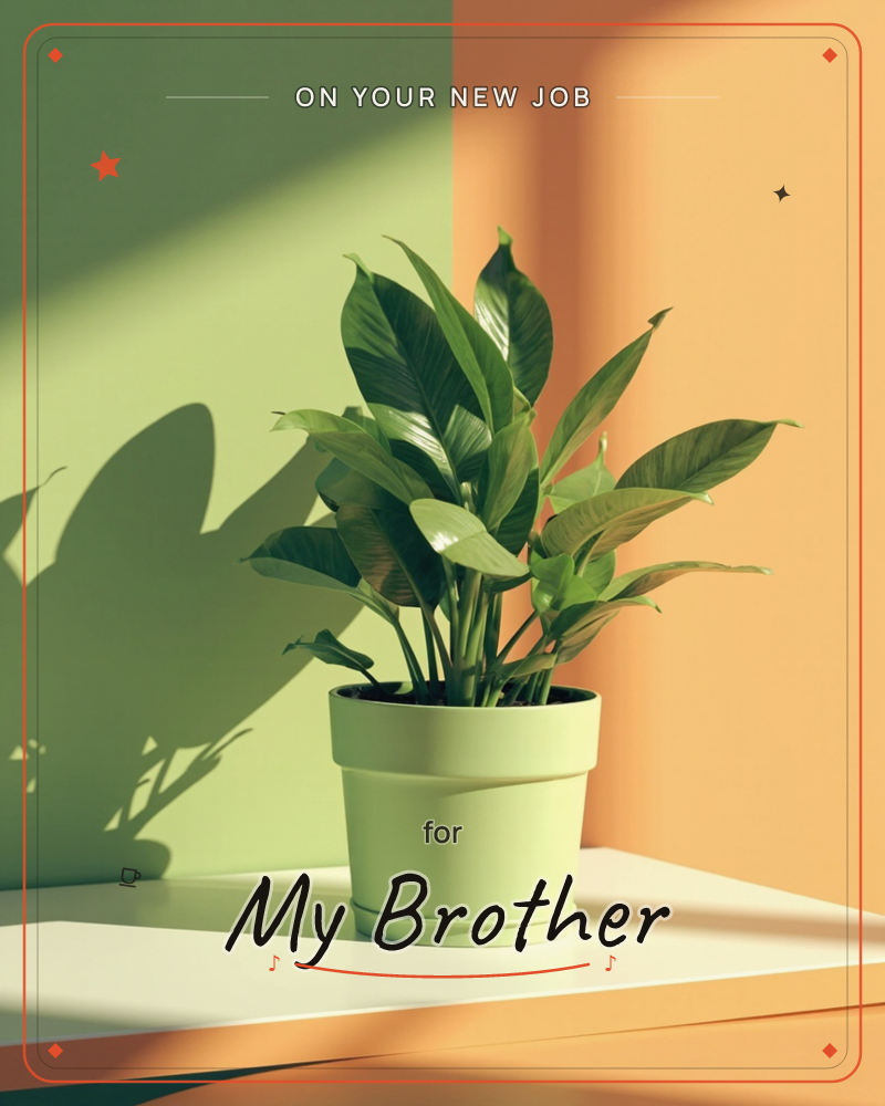 A leafy potted plant sits on a pale windowsill, its broad glossy leaves catching a warm shaft of afternoon sun, a new job e-card design